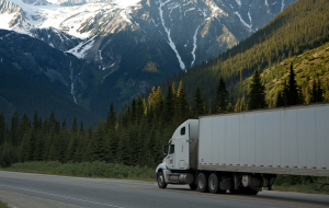 Fuel Additives & Enhancers